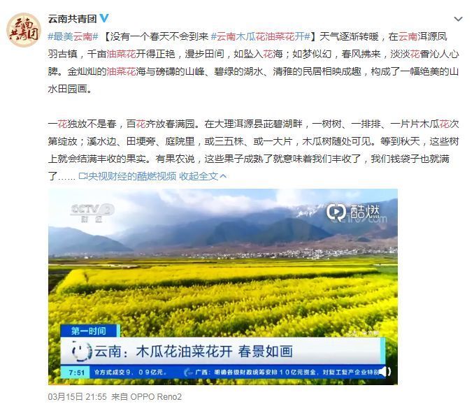  花粉@春天来了，如何预防过敏性结膜炎？