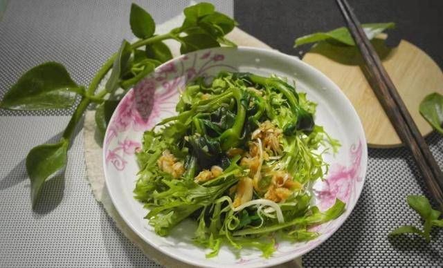 「冰花」心叶冰花可以吃,苦苣用冷,新鲜的味道也可以火!