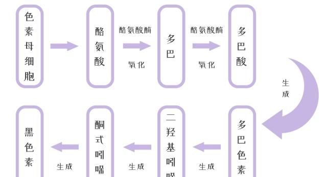 「网传」网传的护肤“黑科技”真的可以养出素颜无瑕肌吗?