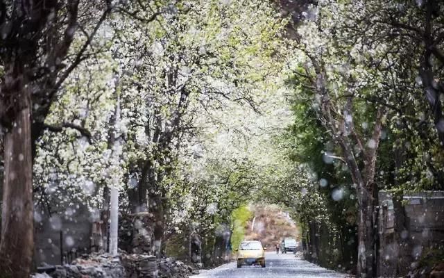 四川风景的概括，总有个地方是你想去看的