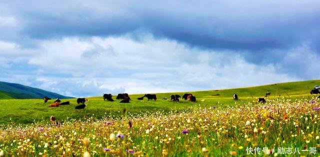 2019年如果到四川，一定要去的5个地方，没有九寨沟没有稻城亚丁