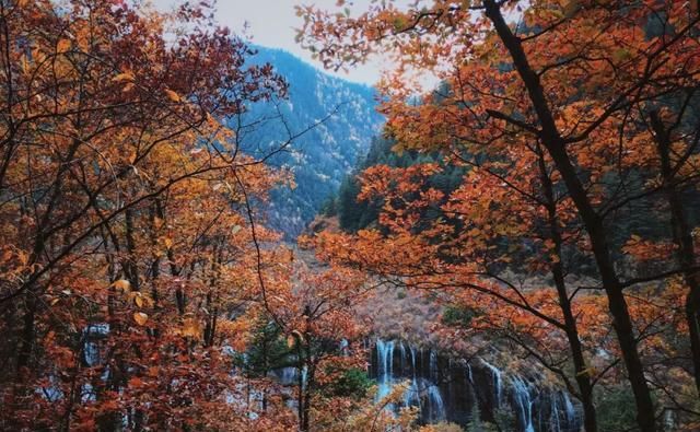 这才是四川最美7大景点，景美人还少，去过5个的都是老司机！