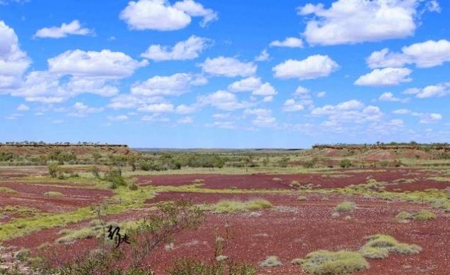 被嫌弃的免费景区：游客去了也不参观景点，直接去溪边淘金
