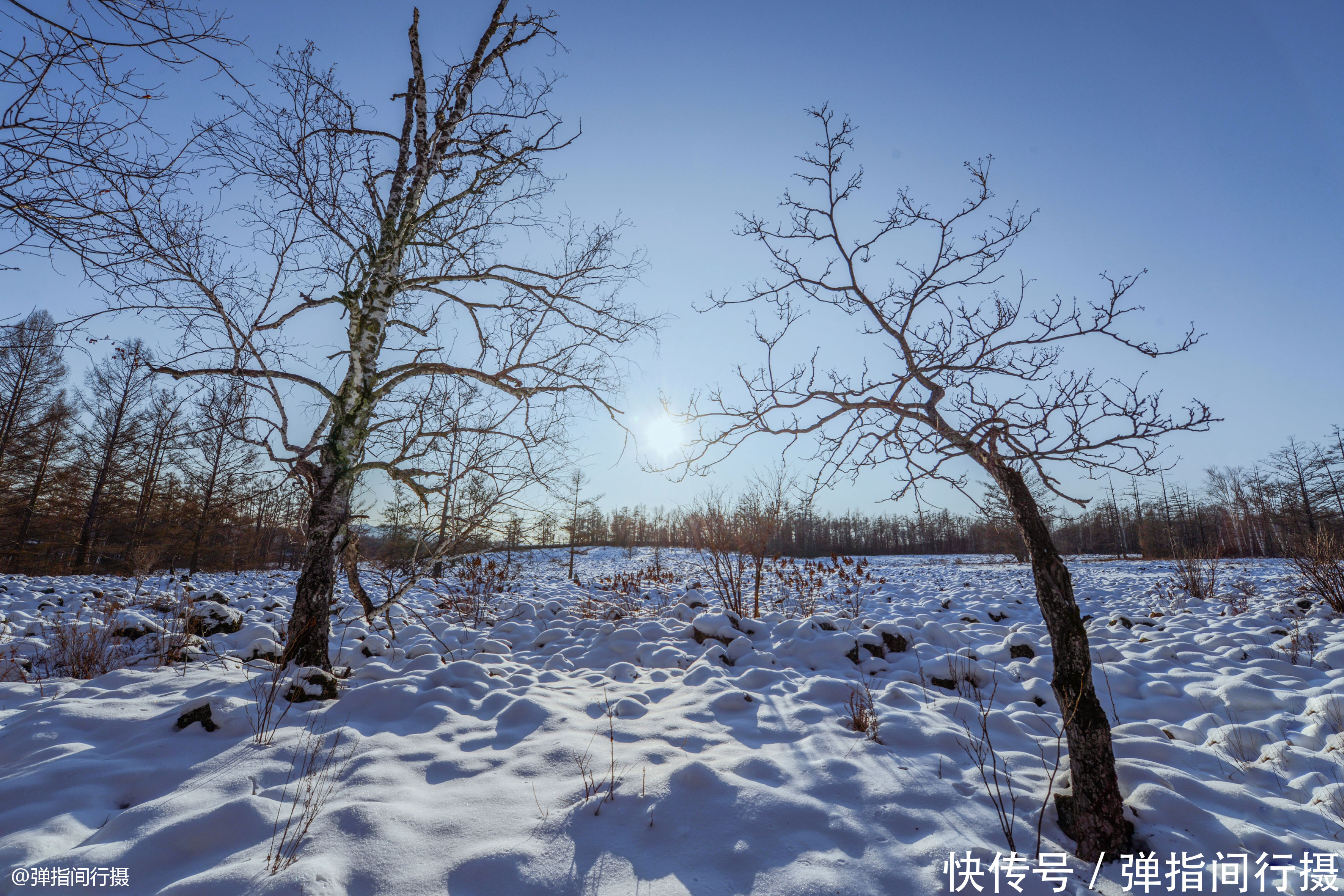 第一次在东北看到这种诡异雪景，你看像什么？南方游客：挺吓人
