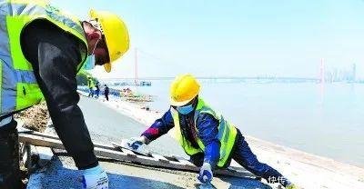  白沙洲@白沙洲江滩 节点任务！八铺街堤综合整治项目桩基施工已基本完成！