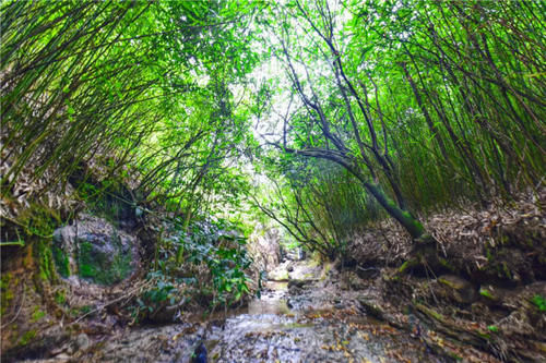 湖南这地被称“湖南小西藏”，风景媲美呼伦贝尔，但知道的人不多