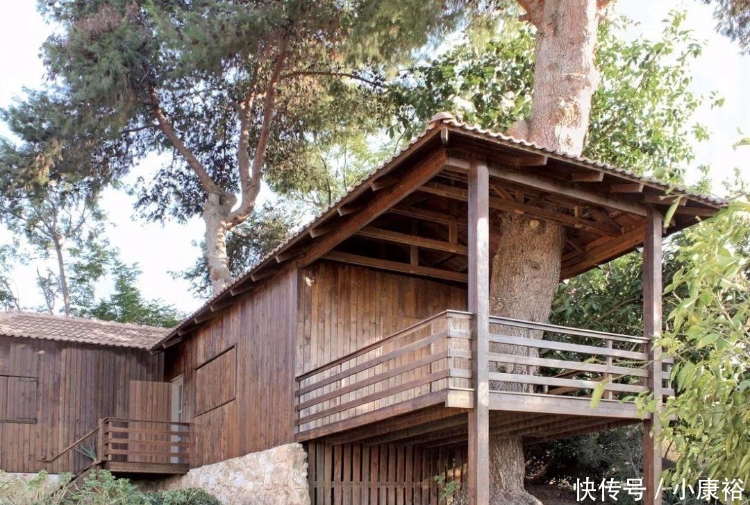 直击外国人给植物“让道”后修建的建筑, 每一个都值得赞赏