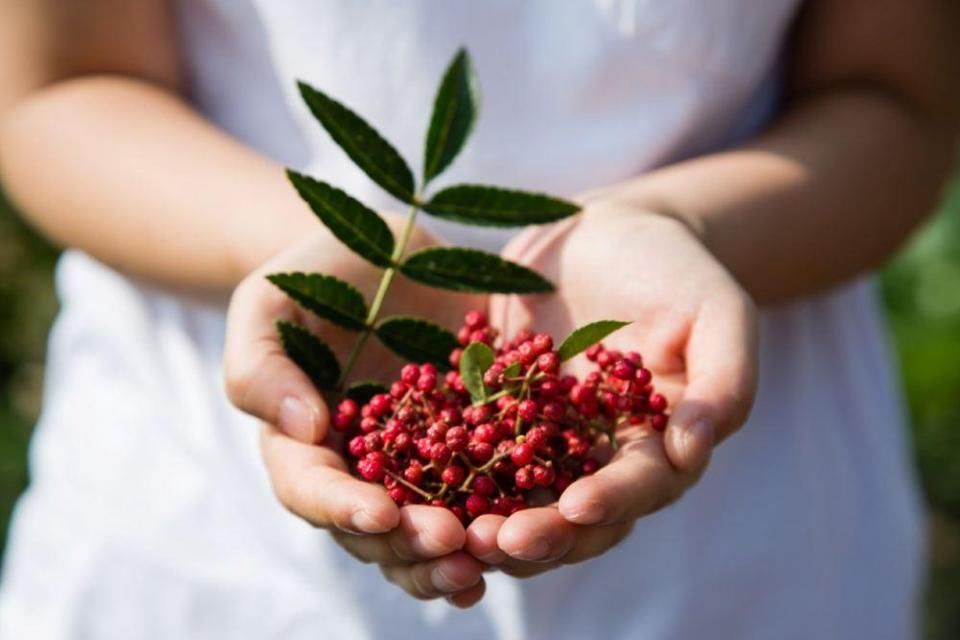 白醋遇上它，聪明女人用来洗脸，半月祛斑不复回，皮肤晶莹亮白