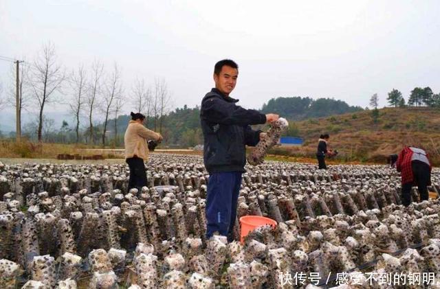 未来农村的三个高利润项目，趁现在知道的人不多，早下手早致富！