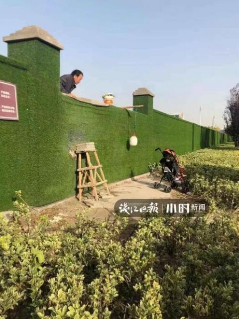  围墙@2米高啊！杭州这群人天天在这翻围墙！往里一望目瞪口呆
