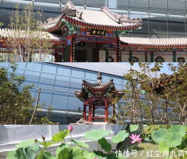  港珠澳大桥|世界新七大奇迹，中国独占两席，一个超1200亿，一个