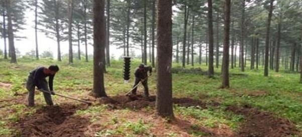  「看过」果树的四种常见施肥技巧，看过之后就明白了