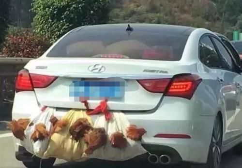 些车主■后备箱放两箱苹果被罚200,车主:水果不能吃还是车不能用?