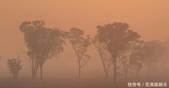 澳大利亚大火主要在哪里
