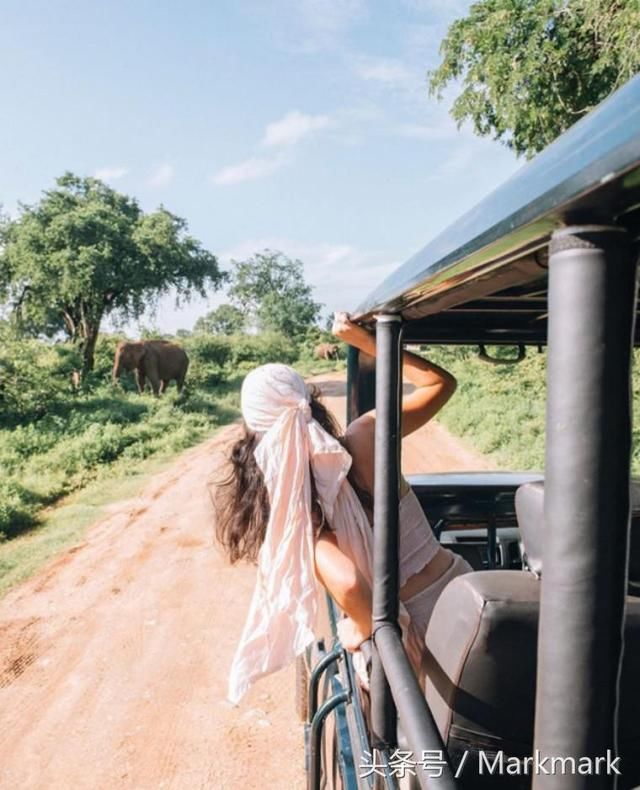 斯里兰卡又一家帐篷酒店开业,外形设计超像蚕