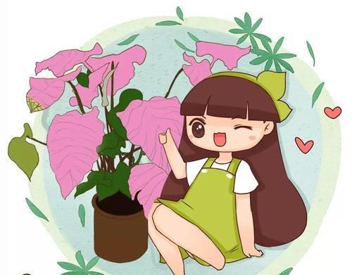  【家里】别养绿萝了，这20种耐阴花，养家里才气派！