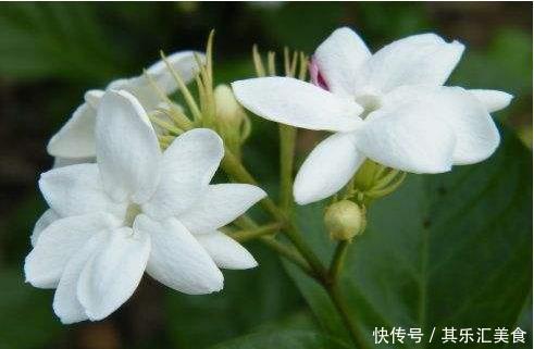  我家：休假回农村来了，晒晒我家的农村小院，还是农村好！