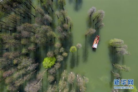  「临安」杭州临安：营造美丽水环境 打造生态好家园