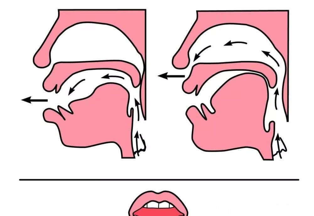 一年级声母韵母正确发音和前后鼻音发音