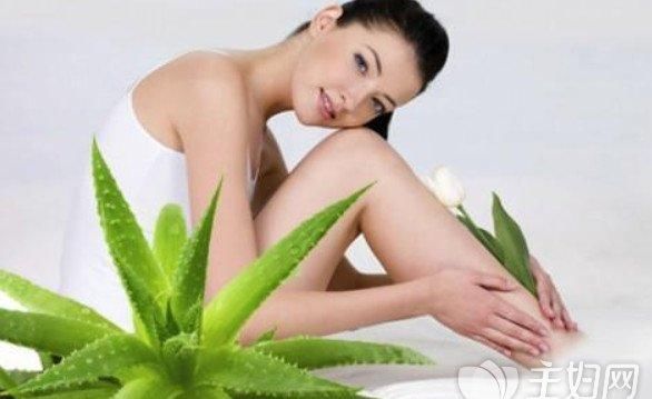  【光滑】用芦荟美容皮肤时要知道的五件事