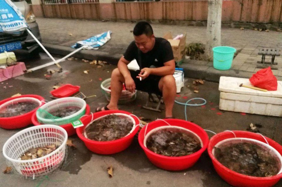 海鲜摊贩说 自从卖上梭子蟹 家里就没吃过活的 每天4个小时坚守