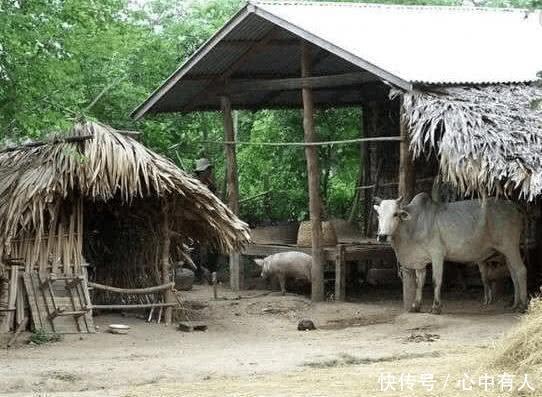  [小伙]中国小伙拜访缅甸岳父，看到妻子的农村生活才明白她为何