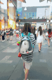  段子：笑话段子：这位姑娘遛狗的方式我很喜欢，你呢，有什么感觉么？