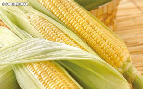 吃馒头减肥还是吃米饭减肥?很多人搞不清楚，难怪瘦不下来!