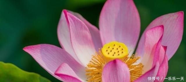  孩子|这，就是人生最大的福气！