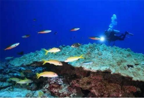 中国南海大动作! 12座群岛接连“消失”, 欧美: 拦不住中国了