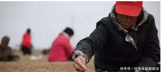 2019年农民永久退地每亩补多少钱 4万还是10万 需要啥条件