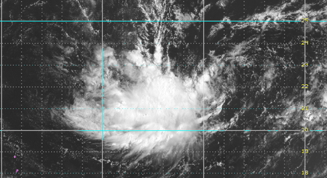 紧急！11号台风“白鹿”即将生成！强度或堪比天鸽