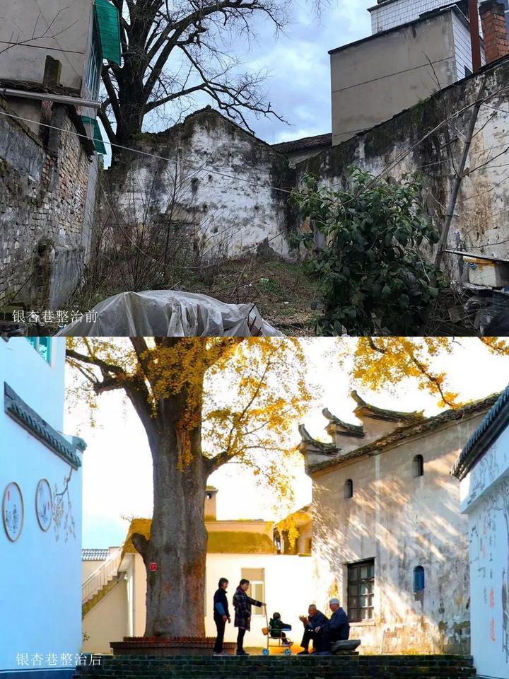 3年扫清30年的污垢 衢江上方钙尘重镇变身美丽城镇