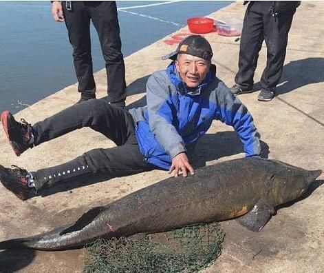 厉害:厉害了!长春钓友钓到一条超1米大鱼,重达120多斤!