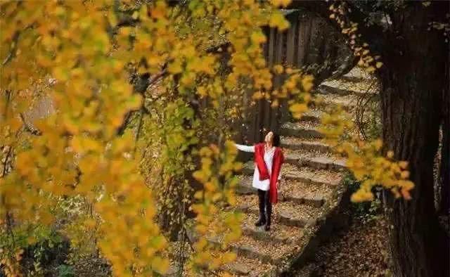浙江不只有江南烟雨，这10个地方藏着浙江的绝美秋景