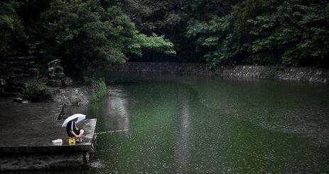  「降雨」秋雨连绵,3个雨天钓鱼的绝招,保你大鱼不断