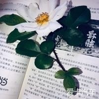  在家：喜欢上在家做的每一件事
