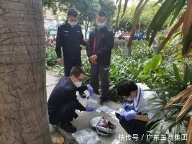  吴先生■丢失、调包、拒绝赔偿……高价珠宝快递太难难难了……
