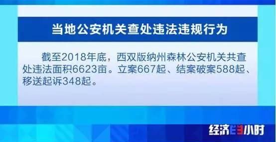 北回归线唯一“绿肺”正在哭泣！保护区森林树木被毒死、被砍伐…