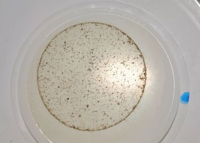 逼疯上海人的“垃圾分类”背后，藏着14亿中国人不知道的残忍真相