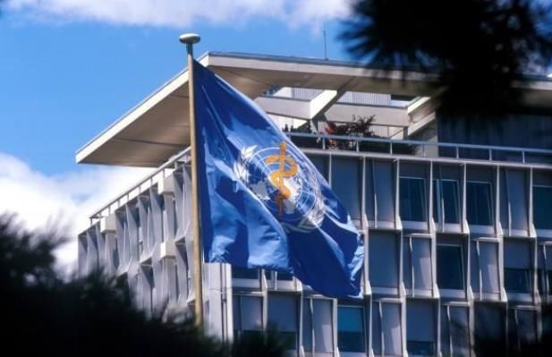  「学者」台湾加入WHO指日可待？学者：躲美国后面自嗨