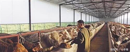 “停工令”再度来袭, 四样东西要涨价, 三类人要失业, 农民怎么办