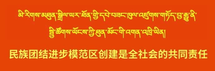  【教育】岗嘎镇召开“不忘初心、牢记使命”主题教育宣讲活动