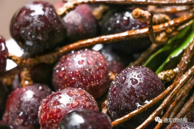 德宏盈江有个"云端上的寨子"