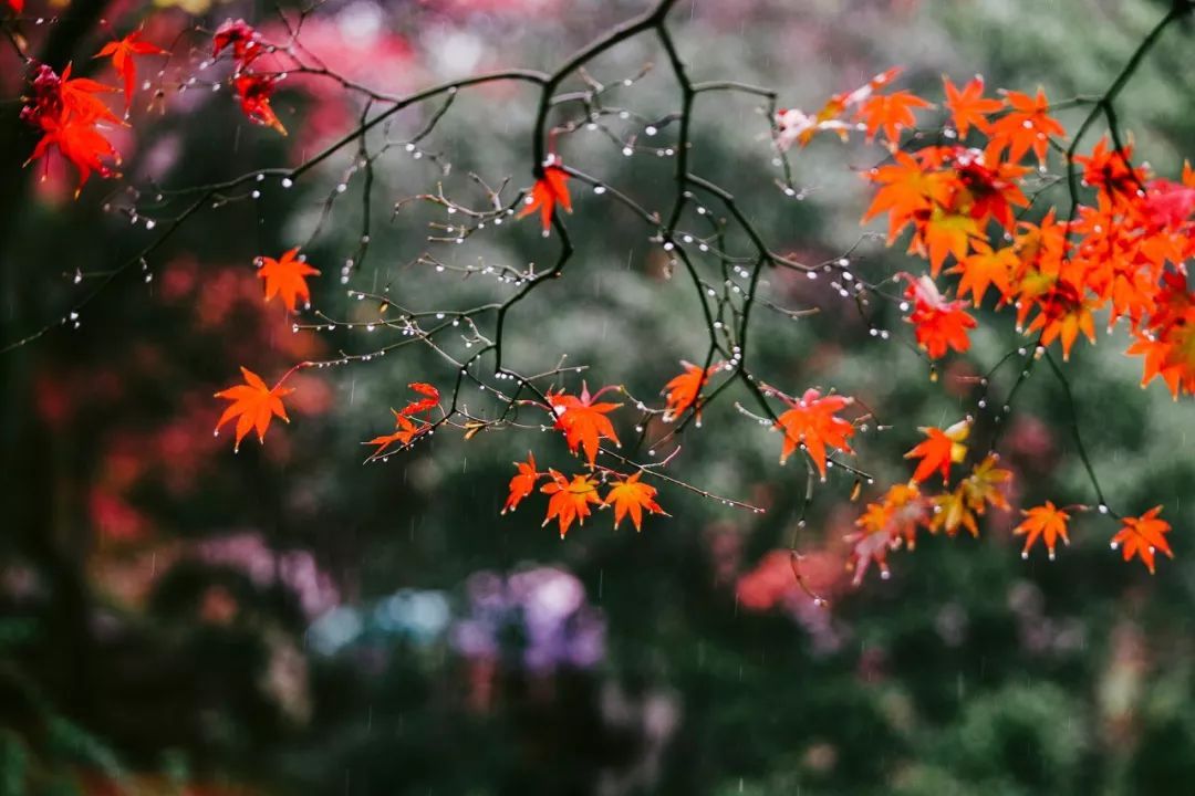 10个藏在深山人不知的古村落，却是世外桃源