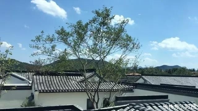 「石板」石材庭院:把风景带回家,太美了