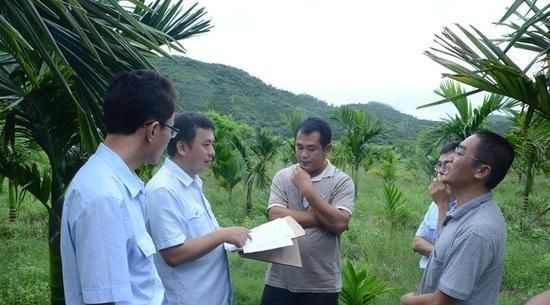  「流通」农村土地流通后由谁管理？土地流通后农民怎么办？