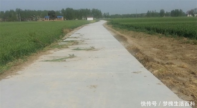 农民屋旁种菜，村干部拔掉种草，说是打造美丽乡村，怎样才算美？
