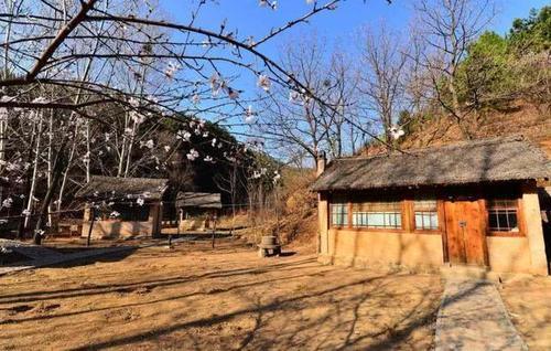  提前：农民身价要涨？主要是农村这个证的发放！家家都有，提前