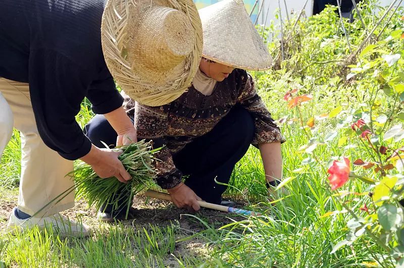 【美文共享】我有个小院，春暖花开等你来